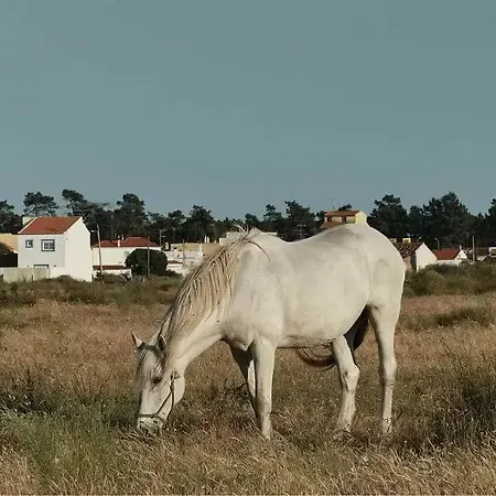 Verdelago 5*